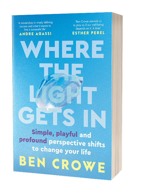 Where the Light Gets In Book